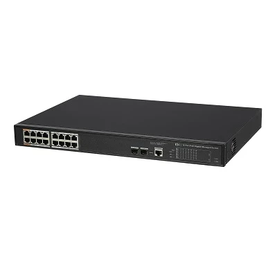 2NSM16G-2S