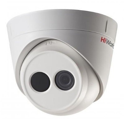 DS-I113 (6 mm)