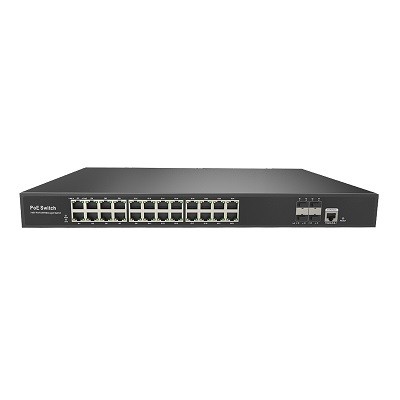 2NSM24G-4SP