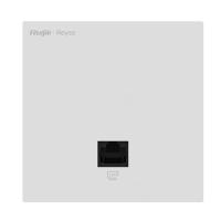 RG-RAP1261